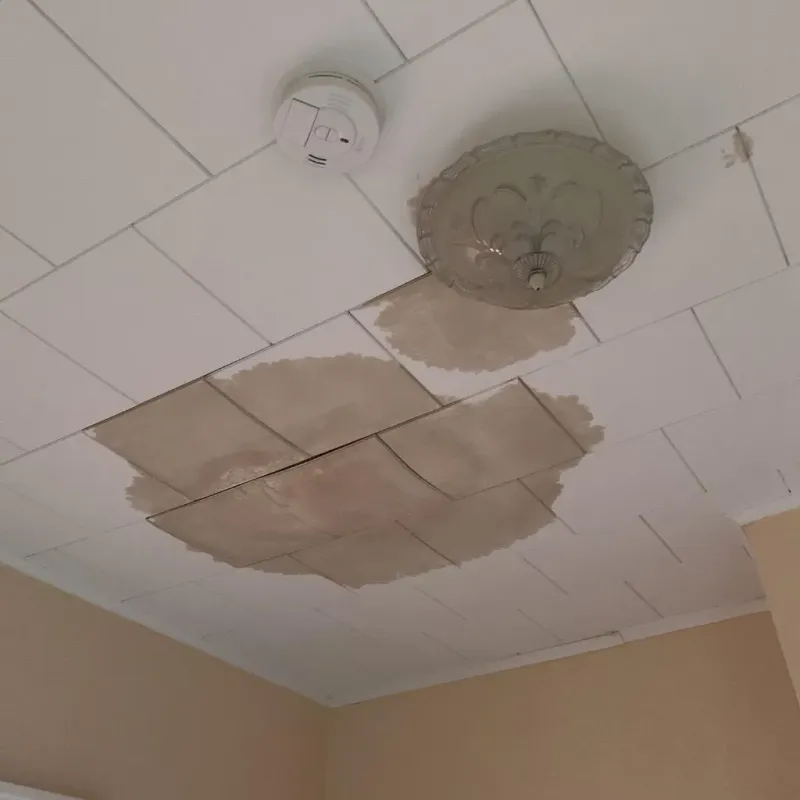 Ceiling Water Damage Repair in Rossville, IN
