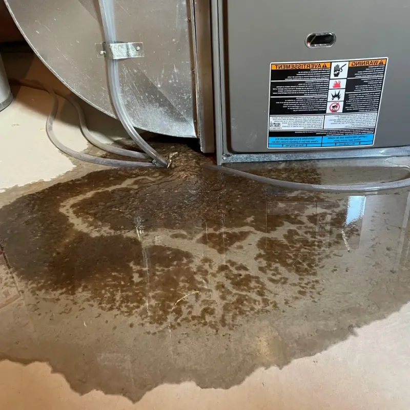 Pipe Burst and Leak Restoration in Rossville, IN