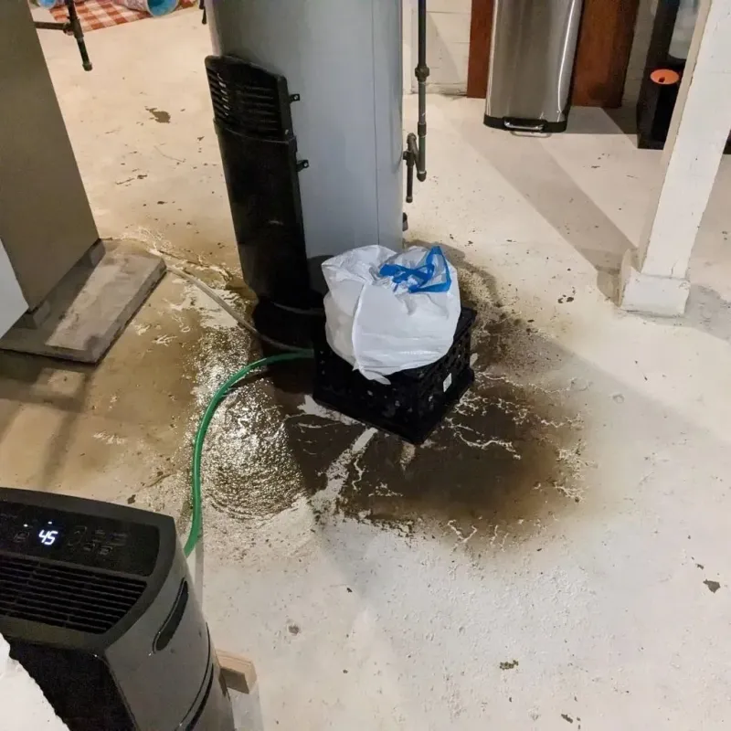Sewage Backup Cleanup Service in Rossville, IN